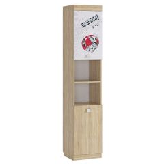 ЭНЕРДЖИ Шкаф комбинированный в Асбесте - asbest.mebel24.online | фото