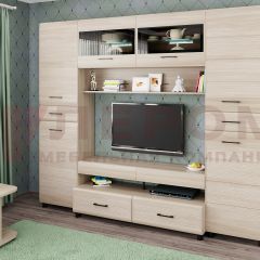 Гостиная Камелия Композиция 10 (Ясень Асахи) в Асбесте - asbest.mebel24.online | фото