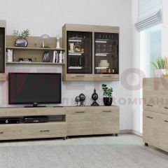 Гостиная Камелия Композиция 8 (Гикори Джексон светлый) в Асбесте - asbest.mebel24.online | фото 3