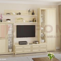 Гостиная Карина Композиция 12 (Ясень Асахи) в Асбесте - asbest.mebel24.online | фото