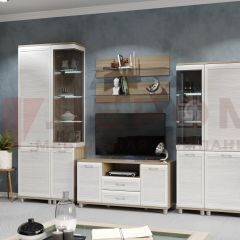 Гостиная Мелисса Композиция 5 (корпус Ясень Асахи, фасад Снежный ясень) в Асбесте - asbest.mebel24.online | фото 2