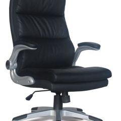 Кресло офисное BRABIX "Fregat EX-510" (рециклированная кожа, черное) 530863 в Асбесте - asbest.mebel24.online | фото 1