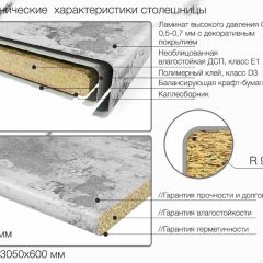 Кухонный фартук со столешницей (А-01) в едином стиле (3050 мм) в Асбесте - asbest.mebel24.online | фото 6