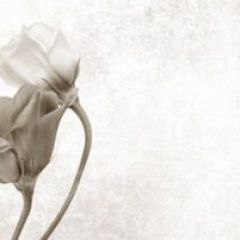 Кухонный фартук Цветы 069 МДФ матовый (3000) Flowers в Асбесте - asbest.mebel24.online | фото