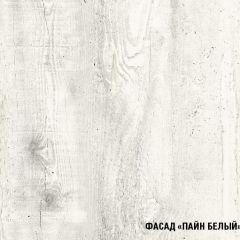Кухонный гарнитур Алина экстра (1700) в Асбесте - asbest.mebel24.online | фото 7