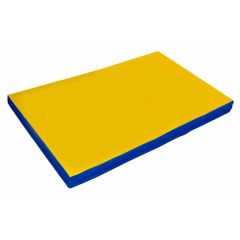 Мат гимнастический 2х1х0,1м цв. синий-желтый в Асбесте - asbest.mebel24.online | фото