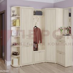 Прихожая Карина композиция 5 (Ясень Асахи) в Асбесте - asbest.mebel24.online | фото