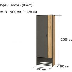 ОЛЬГА-ЛОФТ 3 Шкаф 2-х створчатый в Асбесте - asbest.mebel24.online | фото 4