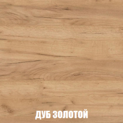 Шкаф 3-х створчатый МСП-1 (Дуб Золотой/Камень темный) в Асбесте - asbest.mebel24.online | фото 4