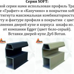 Шкаф-купе 1600 серии SOFT D8+D2+B2+PL4 (2 ящика+F обр.штанга) профиль «Графит» в Асбесте - asbest.mebel24.online | фото 12