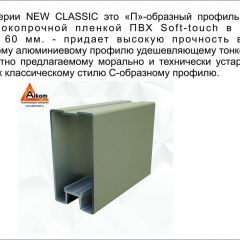 Шкаф-купе 2150 серии NEW CLASSIC K6Z+K1+K6+B22+PL1 (по 2 ящика лев/прав+1 штанга) профиль «Капучино» в Асбесте - asbest.mebel24.online | фото 17