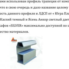 Шкаф-купе 2250 серии SILVER S3+S1+S3Z B22+PL2 (по 2 ящика лев/прав+1штанга+1 полка) профиль «Серебро» в Асбесте - asbest.mebel24.online | фото 4