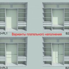 Шкаф-купе 2250 серии SILVER S3+S1+S3Z B22+PL2 (по 2 ящика лев/прав+1штанга+1 полка) профиль «Серебро» в Асбесте - asbest.mebel24.online | фото 6