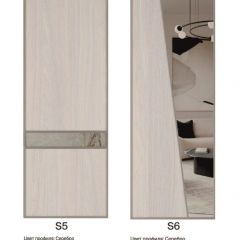 Шкаф-купе 2250 серии SILVER S3+S1+S3Z B22+PL2 (по 2 ящика лев/прав+1штанга+1 полка) профиль «Серебро» в Асбесте - asbest.mebel24.online | фото 14