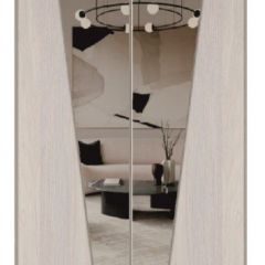 Шкаф-купе 2250 серии SILVER S3+S1+S3Z B22+PL2 (по 2 ящика лев/прав+1штанга+1 полка) профиль «Серебро» в Асбесте - asbest.mebel24.online | фото 15