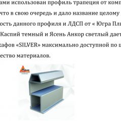 Шкаф-купе 2250 серии SILVER S6+S1+S6Z B22+PL1 (по 2 ящика лев/прав+1 штанга) профиль «Серебро» в Асбесте - asbest.mebel24.online | фото 16