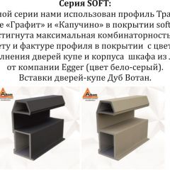 Шкаф-купе 2400 серии SOFT D5+D5+D5+B22+PL4 (по 2 ящика лев/прав+2штанги) профиль «Графит» в Асбесте - asbest.mebel24.online | фото 11