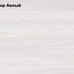 АЛЬЯНС 18 Шкаф-купе + комплект зеркал №4 в Асбесте - asbest.mebel24.online | фото 4