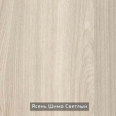 Шкаф купе без зеркала "Ольга 10.1" в Асбесте - asbest.mebel24.online | фото 5