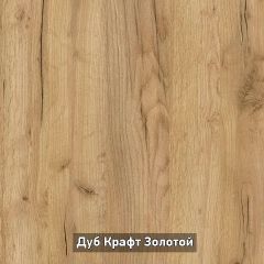 Шкаф купе без зеркала "Ольга-Лофт 10.1" в Асбесте - asbest.mebel24.online | фото 5