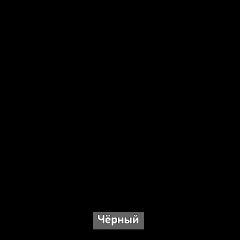 Шкаф купе без зеркала "Ольга-Лофт 10.1" в Асбесте - asbest.mebel24.online | фото 6
