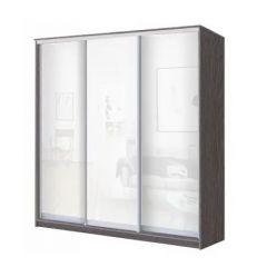 Шкаф-купе ХИТ 23-18-888 (620) в Асбесте - asbest.mebel24.online | фото
