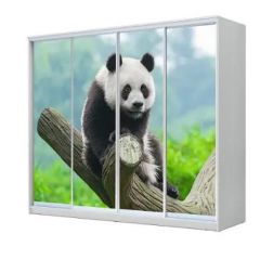 Шкаф-купе ХИТ 23-24/2-7777 (620) в Асбесте - asbest.mebel24.online | фото 1