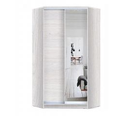 Шкаф-купе ХИТ-У-L-24-64-15 в Асбесте - asbest.mebel24.online | фото 6
