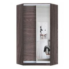 Шкаф-купе ХИТ-У-L-24-64-15 в Асбесте - asbest.mebel24.online | фото 11