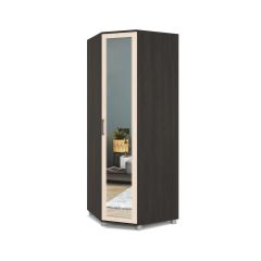ЕВА Шкаф угловой Е58 в Асбесте - asbest.mebel24.online | фото 3