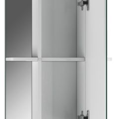 Шкаф-зеркало Норма 2-50 правый АЙСБЕРГ (DA1608HZ) в Асбесте - asbest.mebel24.online | фото 2