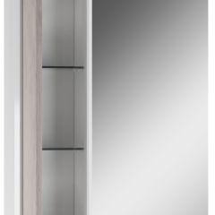 Шкаф-зеркало Uno 60 Дуб серый левый/правый Домино (DU1503HZ) в Асбесте - asbest.mebel24.online | фото 3