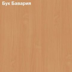 Стол компьютерный с нишей Логика Л-2.11 в Асбесте - asbest.mebel24.online | фото