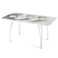 Стол раздвижной-бабочка Паук с фотопечатью Кофе R012 в Асбесте - asbest.mebel24.online | фото