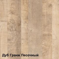 Трувор Шкаф 13.204.01 в Асбесте - asbest.mebel24.online | фото 4