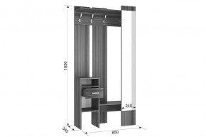 АГАТА Прихожая в Асбесте - asbest.mebel24.online | фото 2