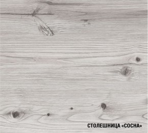 АСАЯ Кухонный гарнитур Экстра 2 (3000 мм) ПМ в Асбесте - asbest.mebel24.online | фото 8