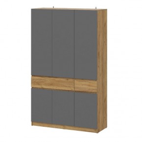 АВИНЬОН Прихожая Шкаф 3-х створчатый с ящиками в Асбесте - asbest.mebel24.online | фото