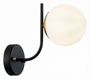 Бра EVOLUCE Ciane SLE1098-401-01 в Асбесте - asbest.mebel24.online | фото 3