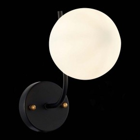 Бра EVOLUCE Ciane SLE1098-401-01 в Асбесте - asbest.mebel24.online | фото 4