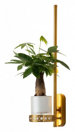 Бра Favourite Greenery 4050-1W в Асбесте - asbest.mebel24.online | фото 3