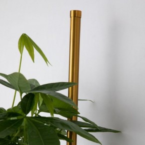 Бра Favourite Greenery 4050-2W в Асбесте - asbest.mebel24.online | фото 8