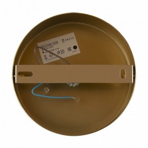 Бра Freya Zelda FR5124WL-01BS в Асбесте - asbest.mebel24.online | фото 6