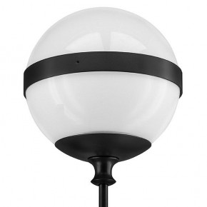 Бра Lightstar Globo 813617 в Асбесте - asbest.mebel24.online | фото 3