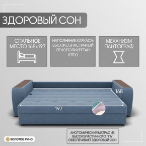Диван Сенатор-1 (НПБ) в Асбесте - asbest.mebel24.online | фото 3