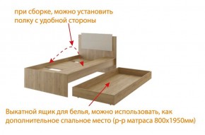 Дуглас подростковая (модульная) в Асбесте - asbest.mebel24.online | фото 5