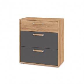 ФЛОРИДА Ф41 Комод (дуб золотой/графит) в Асбесте - asbest.mebel24.online | фото