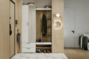 Гарнитур для прихожей Торонто в Асбесте - asbest.mebel24.online | фото 5
