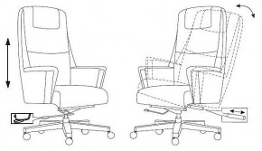 Кресло для руководителя Бюрократ _DUKE в Асбесте - asbest.mebel24.online | фото 8