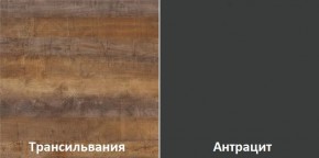 Кухня угловая Трансильвания 2600х1600 мм (Стол. 38 мм) в Асбесте - asbest.mebel24.online | фото 3